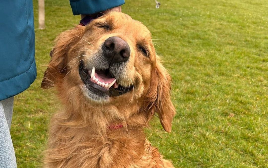 Proud supporters rooted in our community